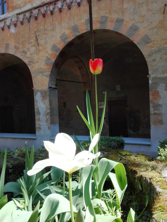Casa Per Ferie San Francesco Otel Susa Dış mekan fotoğraf